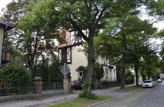 Gewerbeimmobilie mieten in Adelheidstr., 06484 Quedlinburg, Lagerraum auf abgeschlossenem Grundstück zu vermieten