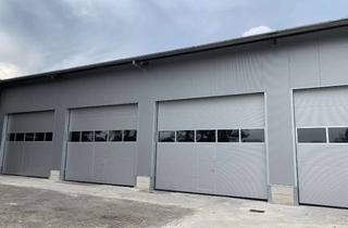 Gewerbeimmobilie mieten in 48231 Warendorf, Lager-/Produktionshalle/Hallenteilfläche