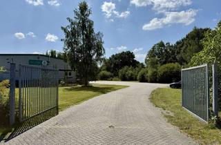 Gewerbeimmobilie kaufen in 29693 Hodenhagen, Ihr Wettbewerbsvorteil in optimal angebundener Lage - 9.080 m² Gewerbegrundstück mit Halle