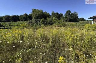 Grundstück zu kaufen in 08491 Netzschkau, Sonniges Baugrundstück in Netzschkau bei Greiz und Plauen: 806 m², ruhige Lage, Süd-Ausrichtung