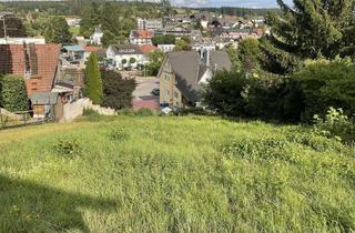 Grundstück zu kaufen in 72178 Waldachtal, Bauplatz in Aussichtslage in Lützenhardt