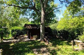 Grundstück zu kaufen in 71404 Korb, Freizeitgartengrundstück in Landschaftsschutzgebiet, für Naturfreundeliebhaber an Stadtrand von Korb