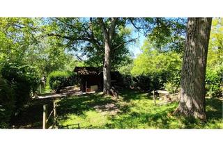 Grundstück zu kaufen in 71404 Korb, Freizeitgartengrundstück in Landschaftsschutzgebiet, für Naturfreundeliebhaber an Stadtrand von Korb