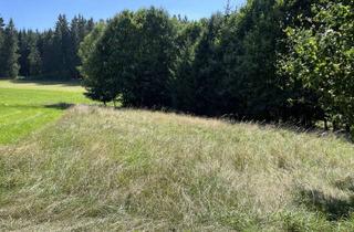 Grundstück zu kaufen in 95671 Bärnau, Sichern Sie sich ein eigenes Naturgrundstück in sehr ruhiger Lage oder Ihren Holzplatz mit guter Zuf