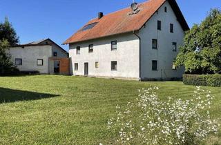 Grundstück zu kaufen in 93359 Wildenberg, Großes Baugrundstück mit Altbestand