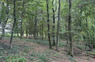 Gewerbeimmobilie kaufen in 84051 Essenbach, Wald der Gemarkung Mettenbach