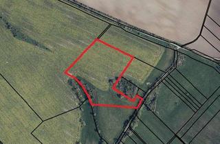 Gewerbeimmobilie kaufen in 17326 Brüssow, Acker- und Grünlandflächen zu verkaufen