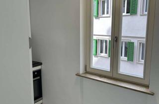 Wohnung mieten in Neckarhalde, 72070 Tübingen, Erstbezug nach Sanierung: freundliche 1,5-Zimmer-Wohnung mit EBK in Tübingen