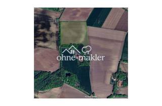 Lager kaufen in 49832 Messingen, Interessante Hofstelle mit Schweinemastanlage und arrondierten Ackerflächen