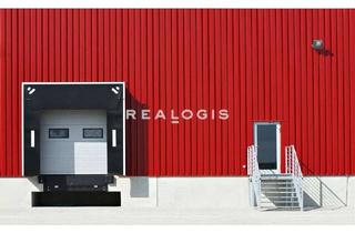 Gewerbeimmobilie mieten in 64546 Mörfelden-Walldorf, Ca. 650 qm Lager-/ Logistik | 7,00 m UKB | Anbindung an die A5