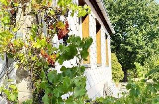 Haus kaufen in 99423 Weimar, Weimar - Kleingarten mit Massivhaus, Keller und vielen Obstbäumen