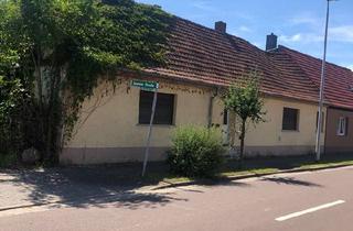 Einfamilienhaus kaufen in 06386 Osternienburger Land, Osternienburger Land - Haus zu verkaufen - sanierungsbedürftig in Klein Paschleben
