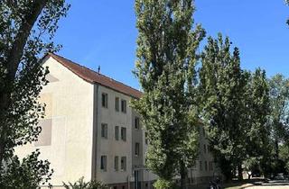 Wohnung mieten in Ermslebener Straße 83, 06449 Aschersleben, Aschersleben - ++Frisch sanierte 3-Raumwohnung mit EBK++