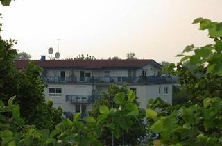 Wohnung kaufen in 64625 Bensheim, Bensheim - Schönste 2 Zimmer (Küche) Bad und Südbalkon in Bensheim - Auerbac