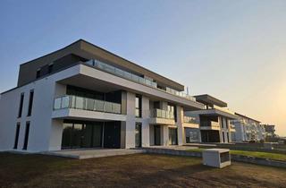 Penthouse kaufen in Im Seerich 13, 64839 Münster, Penthouse mit großer Dachterrasse - provisionsfrei