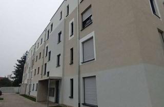 Sozialwohnungen mieten in Petronia-Steiner-Straße, 67346 Speyer, NUR MIT WBS: Neuwertige 3-Zimmer-Wohnung mit Balkon in Speyer-Süd!