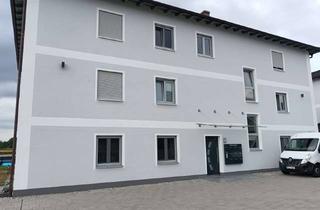 Wohnung mieten in Kiefernstraße 10a, 84539 Ampfing, Exklusive EG-2-Zimmer-Wohnung, mit sehr großer Terrasse, KfW 55, Energieeffizienzklasse A+