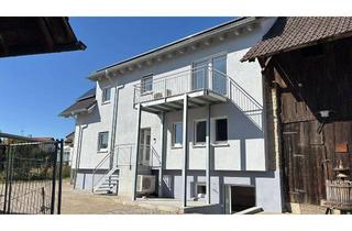 Wohnung mieten in Dorfstraße 21, 79588 Efringen-Kirchen, Erstbezug nach Sanierung: Stilvolle 2-Zimmer-Souterrain-Wohnung mit geh. Innenausstattung