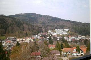 Wohnung mieten in 76332 Bad Herrenalb, Design Appartement mit Blick über Bad Herrenalb im "Adrion" sucht neuen Mieter