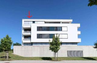 Penthouse mieten in 89134 Blaustein, Erstklassiges 2-ZI.-PENTHOUSE Blaustein mit EBK, TG, West-Dachterrasse mit Panoramablick
