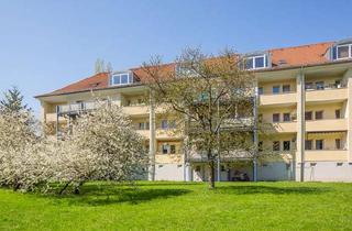 Wohnung mieten in Bodenbacher Str. 95C, 01277 Seidnitz/Dobritz, 2-Raumwohnung im Dachgeschoss sucht nette Nachmieter!