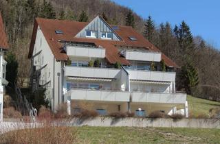 Wohnung mieten in Sonnenbühl 26 l, 73342 Bad Ditzenbach, Über den Dächern von Bad Ditzenbach - mega Aussicht