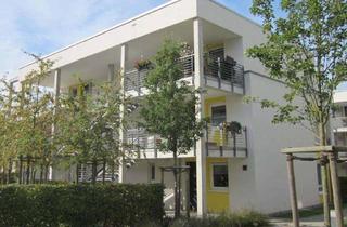 Sozialwohnungen mieten in Hiltroper Landwehr 51, 44805 Bergen, 2-Zimmer Wohnung in Gerthe für Senior*innen mit WBS