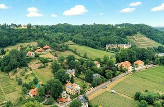 Wohnung mieten in Weinbergstr. 38, 01445 Radebeul, Exklusive Erdgeschosswohnung in den Weinbergen, Südterrasse (60 m²) und Garten, Stellplätze