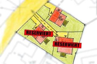 Haus kaufen in 77799 Ortenberg, EXKLUSIVES Bauprojekt in Ortenberg - schnell sein lohnt sich!