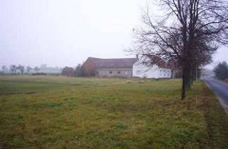 Bauernhaus kaufen in 03253 Doberlug-Kirchhain, Ehemaliger Bauernhof