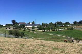 Haus kaufen in 51399 Burscheid, Reitanlage auf 11,5 ha zu verkaufen