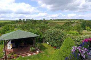 Einfamilienhaus kaufen in 06632 Freyburg, Einfamilienhaus mit großzügigem Grundstück