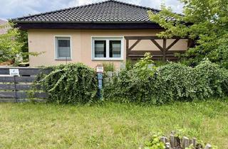 Einfamilienhaus kaufen in 03050 Sachsendorf, BUNGALOW IN COTTBUS | Großzügiges Einfamilienhaus im TOP Zustand mit 715qm Grundstück!