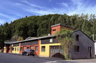 Gewerbeimmobilie mieten in 54614 Schönecken, Werkstatt/Lager bis zu 230m² in Schönecken zu vermieten - flexibel & sofort verfügbar