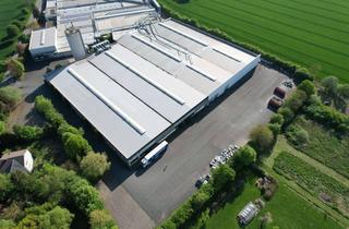 Gewerbeimmobilie mieten in 32361 Preußisch Oldendorf, Hochwertige Produktions-und Lagerflächen inkl. Verwaltung ab sofort (Teilanmietung möglich)