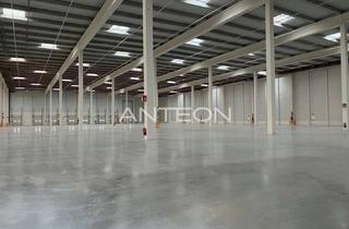 Gewerbeimmobilie mieten in 47809 Linn, Neubau | Logistik | WGK 3 | 24/7 | Rampen | ebenerdig