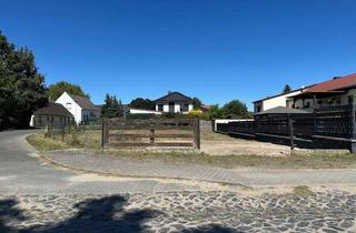 Grundstück zu kaufen in Sackwitz 30, 06905 Meuro, Wohnen in der Dübener Heide