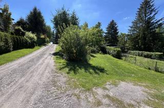 Grundstück zu kaufen in Oberer Felsbergweg, 06313 Ahlsdorf, Auktion - ehem. Wochenendhausgrundstück in Hanglage **vertragsfrei**