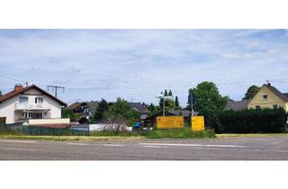 Grundstück zu kaufen in 56414 Wallmerod, großes Baugrundstück im Herzen von 56414 Wallmerod