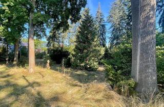Grundstück zu kaufen in 04821 Brandis, Großes Baugrundstück in Waldsteinberg!