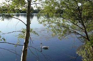 Immobilie mieten in Am Ochsensee, 63796 Kahl, Exklusive Offsite-Villa für Wohnen-auf-Zeit/Workation