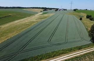 Immobilie kaufen in 84177 Gottfrieding, Ackerfläche Nähe Dingolfing