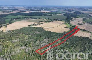 Gewerbeimmobilie kaufen in 02633 Göda, Laubmischwald (ca. 6,5 ha) südwestlich von Bautzen in Dretschen