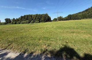 Gewerbeimmobilie kaufen in 84387 Julbach, Schönes, gut befahrbares landwirtschaftliches Wiesengrundstück - Ehemaliges Bauland -