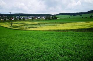 Gewerbeimmobilie kaufen in An Der Raste 10, 56653 Wassenach, Gewerbegrundstück 9050 m² in Wassenach nähe Andernach