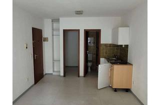 Wohnung kaufen in 67663 Innenstadt, Apartment mit kleiner Terrasse und Außenstellplatz im UNI-Wohngebiet ZU VERKAUFEN