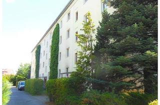 Wohnung mieten in Am Stadtpark 33, 04895 Falkenberg, Frisch renovierte 3-Raum-Wohnung mit Balkon "Am Stadtpark" in Falkenberg/ Elster