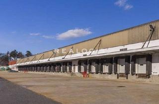 Gewerbeimmobilie mieten in 16909 Heiligengrabe, Heiligengrabe | ca. 19.900 m² Logistikfläche | teilbar ab ca. 2.000 m² | Rampen