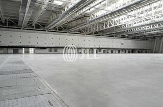 Gewerbeimmobilie kaufen in 71665 Vaihingen an der Enz, 6.000m² Industriehalle mit Entwicklungspotential - Vaihingen an der Enz
