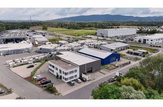 Büro zu mieten in 64404 Bickenbach, Büro- und Werkstatthalle in direkter Autobahnnähe